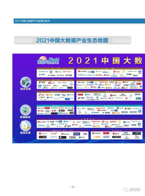 2021年中国大数据产业基础软件服务发展洞察——赛迪白皮书深度解析